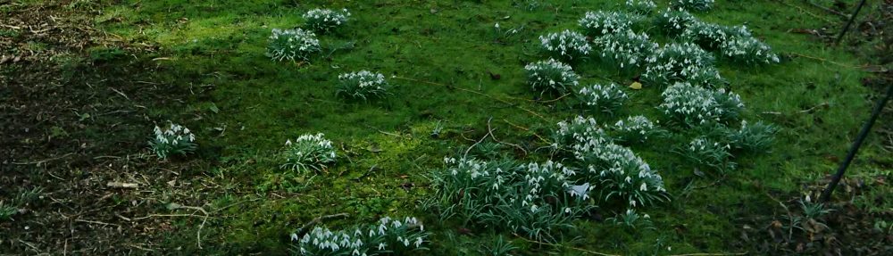 DeepingDo – The blog of Ashley Baxter, Independent Councillor and founder member of the Deepings Rebel Alliance!