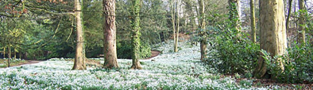 DeepingDo – The blog of Ashley Baxter, Independent Councillor and founder member of the Deepings Rebel Alliance!