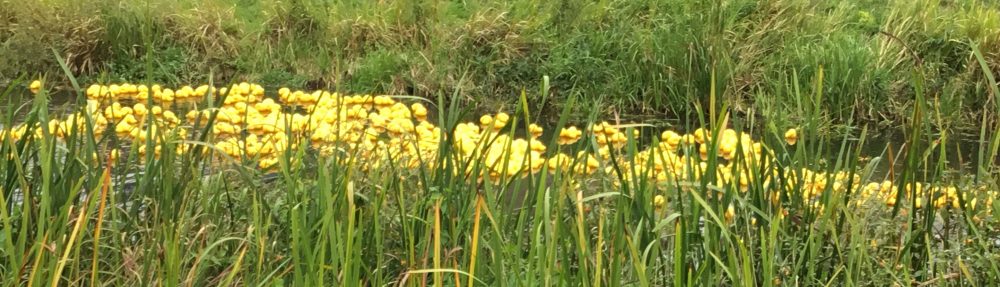 DeepingDo – The blog of Ashley Baxter, Independent Councillor and founder member of the Deepings Rebel Alliance!