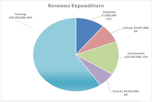 revenue expenditure